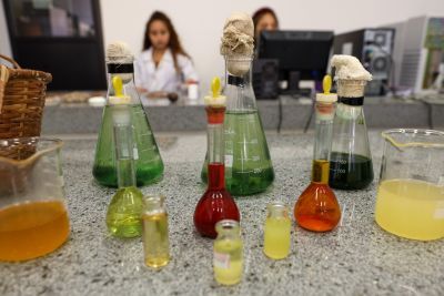 notícia: Biodiversidade do PCT Guamá é estudada por pesquisadores e aponta inovação para indústria e saúde