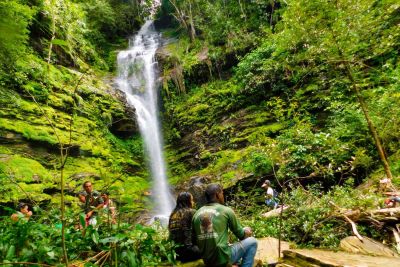 notícia: Lançamento de livro revela riqueza botânica do Parque Estadual da Serra dos Martírios/Andorinhas