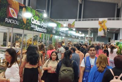 notícia: Produtores e Sedap reúnem com o ministro do Turismo para falar sobre Rota do Cacau da Transamazônica