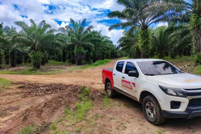 notícia: Adepará disponibiliza acesso para emissão da Guia de Trânsito Vegetal do Dendê (GTV)
