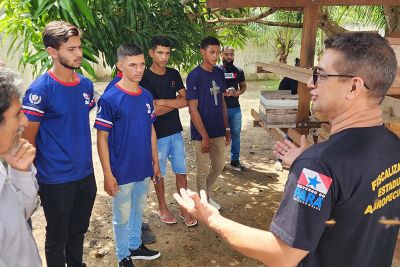 notícia: Escola Estadual de Breu Branco potencializa componente de Educação Ambiental com criação de abelhas