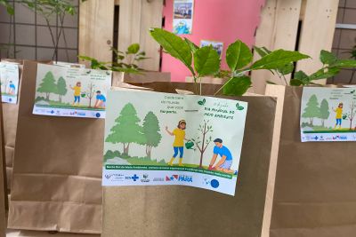 notícia: Hospital Geral de Tailândia (HGT) celebra Dia Mundial do Meio Ambiente