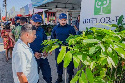 notícia: Blitz ambiental distribui mudas e conscientiza população em São Geraldo do Araguaia