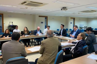 notícia: Comissão da Política de Incentivos do Pará aprova sete declarações de empresas incentivadas