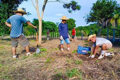 notícia: Em Monte Alegre, parceria entre Emater e Igreja Católica mobiliza para causa ecológica