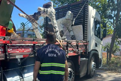 notícia: Sefa apreende confecções e equipamentos de ginástica 