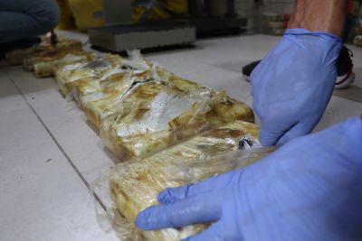 notícia: Polícia Científica faz perícia em entorpecentes apreendidos em Ananindeua