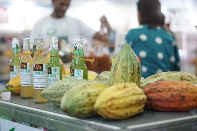 notícia: Cacau cultivado em sistema agroflorestal é tema de palestra em evento realizado pelo Estado