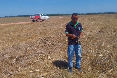 notícia: Começa em 15 de junho o primeiro Vazio Sanitário da Soja no Pará