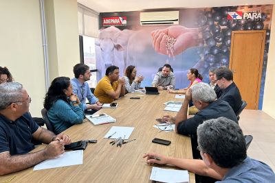 notícia: Governos federal e estadual definem ações de combate à Monilíase