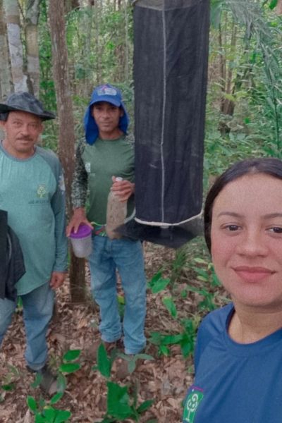 Crédito: GRA/IDEFLOR-Bio/Divulgação