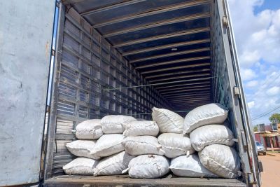 notícia: Sefa apreende 18 toneladas de castanhas do Pará em Dom Eliseu no sudeste estadual