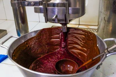 notícia: Nove municípios paraenses lideram produção nacional do açaí, aponta Fapespa