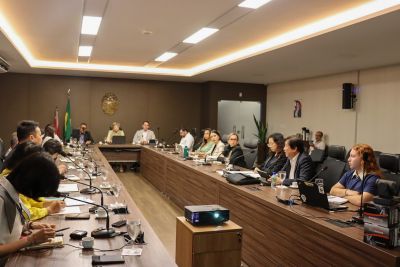 notícia: Semas apresenta experiências de incentivo à pecuária verde para empresários chineses