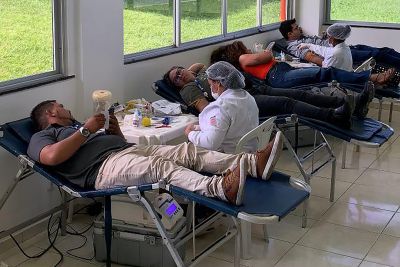 notícia: Campanha em parceria entre Hemopa e Equatorial pode ajudar a salvar até 400 vidas