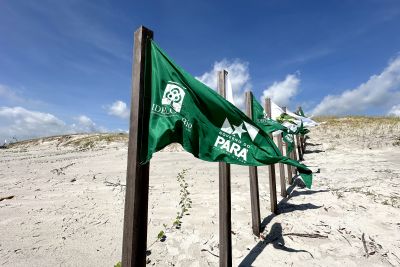 notícia: Ideflor-Bio melhora sinalização visual em Unidade de Conservação em Salinópolis