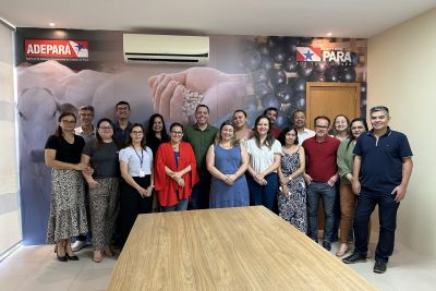 notícia: ADEPARÁ recebe supervisão do Mapa para alinhar serviços veterinários