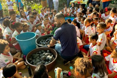 notícia: Ideflor-Bio garante preservação de quelônios no Pará 