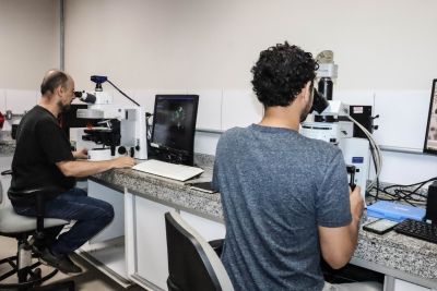 notícia: Capacitações no PCT Guamá contribuem para a formação de cientistas na Amazônia