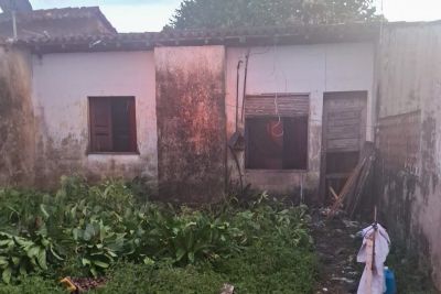 notícia: Polícia Civil cumpre mandado de prisão contra suspeito de maus-tratos a animais