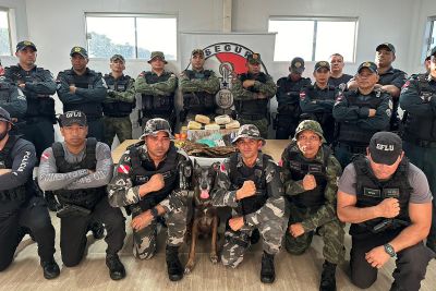 notícia: Equipe integradada da Base Antônio Lemos apreende 5,5 quilos de entorpecentes