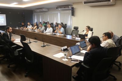 notícia: Tribunal de Recursos Ambientais julgou 141 processos no primeiro semestre de 2024