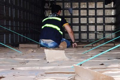 notícia: Fiscais da Sefa apreendem mais de 19 toneladas de palmito em Dom Eliseu