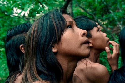 notícia: Cine Líbero Luxardo exibe o premiado filme 'A Flor do Buruti' a partir desta sexta-feira 