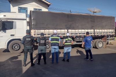 notícia: Secretaria da Fazenda (Sefa) apreende 12 toneladas de madeira serrada em Dom Eliseu