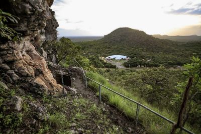 notícia: Estado reforça ações de proteção ao meio ambiente no Dia Mundial de Conservação da Natureza