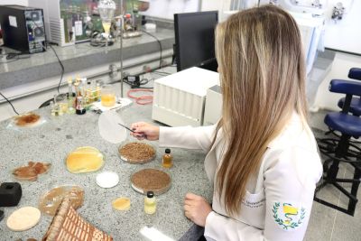 notícia: Feito no PCT Guamá, curativo à base de óleos amazônicos é alternativa para área da Saúde