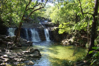 notícia: Plano de Manejo Integrado impulsiona conservação e desenvolvimento sustentável 