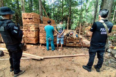 notícia: Demapa  autua 3 pessoas por danos à Unidade de Conservação no Marajó