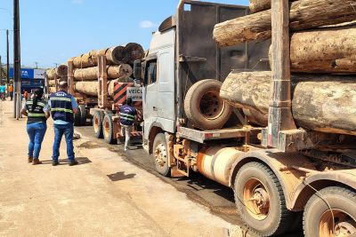 notícia: Sefa apreende 79 metros cúbicos de madeira e 47 toneladas de soja