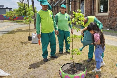 notícia: CIIR promove ações sustentáveis para celebrar ‘Dia da Árvore’ 