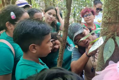 notícia: Alunos vivenciam a biodiversidade amazônica em ação educativa no Parque Estadual do Utinga