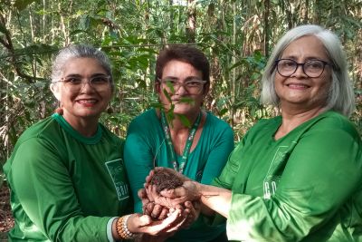 notícia: Ideflor-Bio promove oficina de transplante de mudas no Parque Estadual do Utinga 