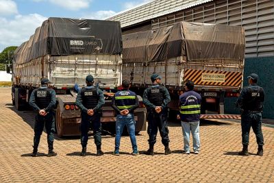 notícia: Sefa apreende 95 mil garrafas de cachaça em Santarém e cobre em Novo Progresso