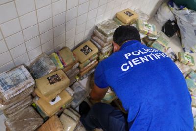 notícia: Polícia Científica faz perícia em entorpecentes apreendidos em Breves