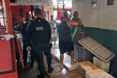 notícia: Ação da Base Antônio Lemos apreende 100 kg de pescado no Marajó e ovos de tartaruga  