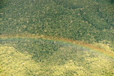 notícia: Ideflor-Bio anuncia audiências públicas para concessão florestal na região do Tapajós