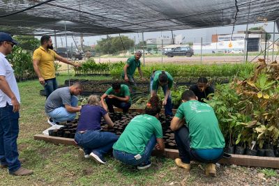 notícia: Aula prática do Ideflor-Bio com alunos do Senar, em Marabá, reforça plantio sustentável