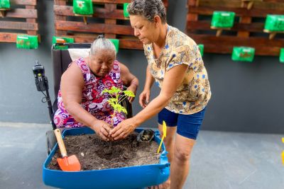notícia: Complexo Hospitalar dos Caetés entrega jardim sensorial para usuários da região