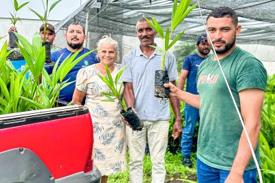 notícia: Ideflor-Bio promove minicurso de quintais agroflorestais em São Geraldo do Araguaia