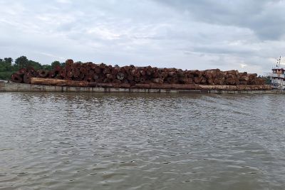 notícia: Base Fluvial ‘Antônio Lemos’ apreende carga de madeira ilegal neste sábado (7)