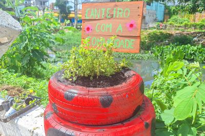 notícia: Ação sustentável do CIIR fomenta alimentação saudável e a preservação ambiental