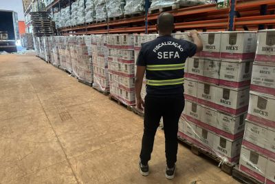 notícia: Sefa apreende mais de R$ 3 milhões em mercadorias em Santarém 