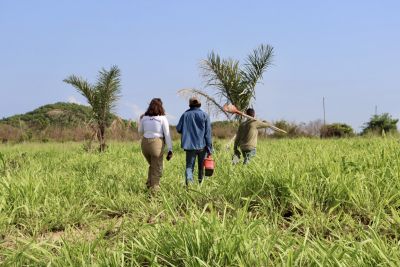 notícia: Governo do Pará promove visitas à Unidade de Recuperação Triunfo do Xingu, em Altamira