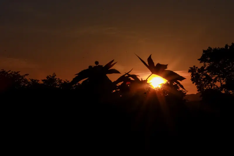  <div class='credito_fotos'>Foto: Bruno Cruz / Ag. Pará &nbsp;&nbsp;|&nbsp;&nbsp; <a href='/midias/2025/originais/20250125092545-GF00022795-F00371849.jpg' download><i class='fa-solid fa-download'></i> Download</a></div>