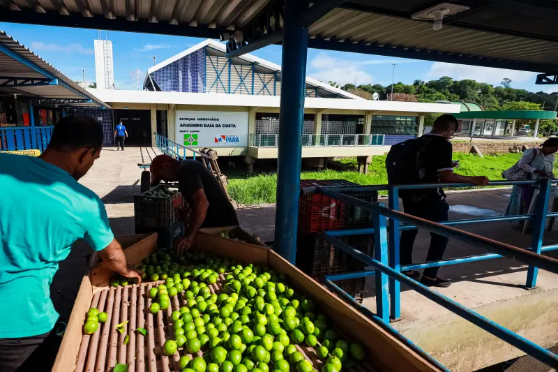  <div class='credito_fotos'>Foto: Bruno Cruz / Ag. Pará &nbsp;&nbsp;|&nbsp;&nbsp; <a href='/midias/2025/originais/20250125094106-GF00022796-F00371865.jpg' download><i class='fa-solid fa-download'></i> Download</a></div>